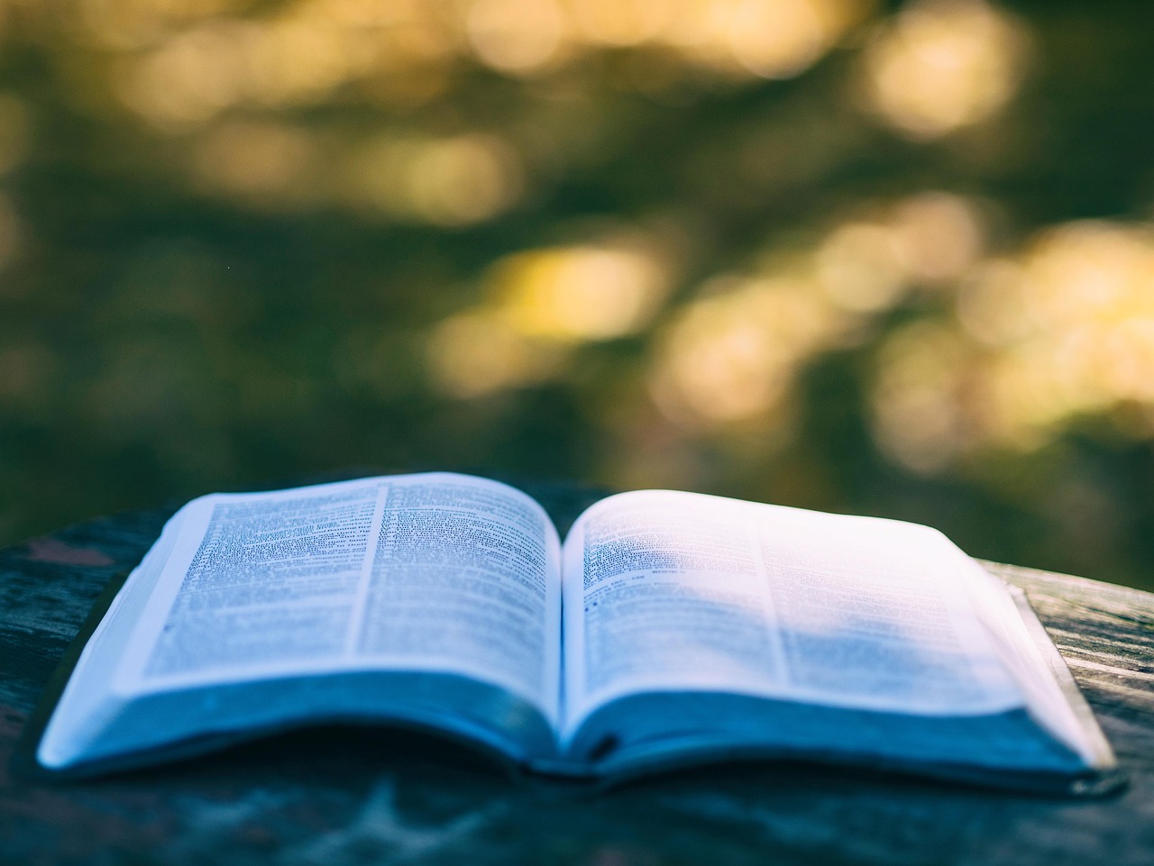 book, pages, open book, read, reading, knowledge, education, leisure, hobby, bookworm, chapters, literature, open, outdoors, research, study, book, book, book, book, book, open book, education, study-1868068.jpg
